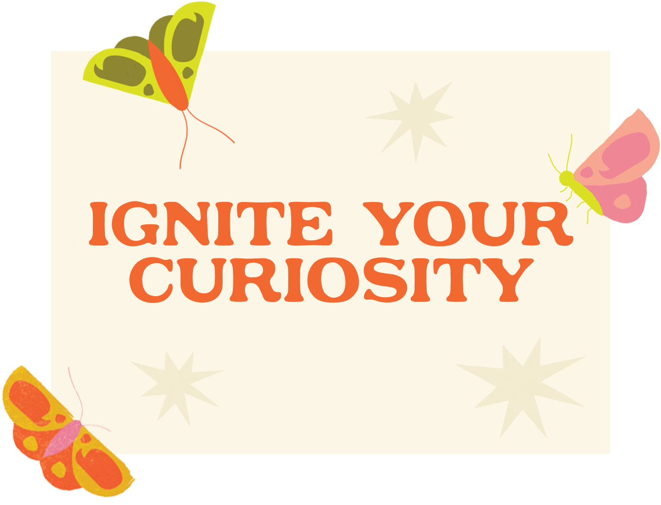 Ignite Your Curiosity
